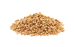 Fenugreek Seeds (Methi) – whole spice in Origo Ritual blend