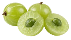 Indian Gooseberry (Amla Powder) – whole spice in Origo Ritual blend