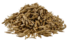 Cumin Seeds (Jeera) – whole spice in Origo Ritual blend